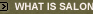 What is Salon