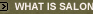 What is Salon